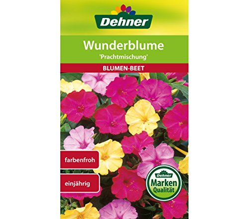 Dehner Blumen-Saatgut, Wunderblume "Prachtmischung", 5er Pack (5 x 3 g) von Dehner