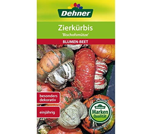 Dehner Blumen-Saatgut, Zierkürbis "Bischofsmütze", 5er Pack (5 x 6 g) von Dehner