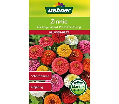 Dehner Blumen-Saatgut, Zinnie "Niedrige Liliput Prachtmischung", 5er pack (5 x 2 g), 15 x 11 x 0.5 cm von Dehner