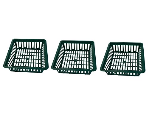 Dehner Blumenzwiebelschalen 3 Stück, je ca. 28.5 x 26 cm, Grün von Dehner