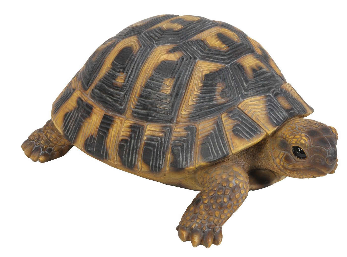 Dehner Gartenfigur Schildkröte, 7.7 x 17 x 11.7 cm, Polyresin Dehner Gartenfigur Schildkröte, 7.7 x 17 x 11.7 cm, Polyresin von Dehner