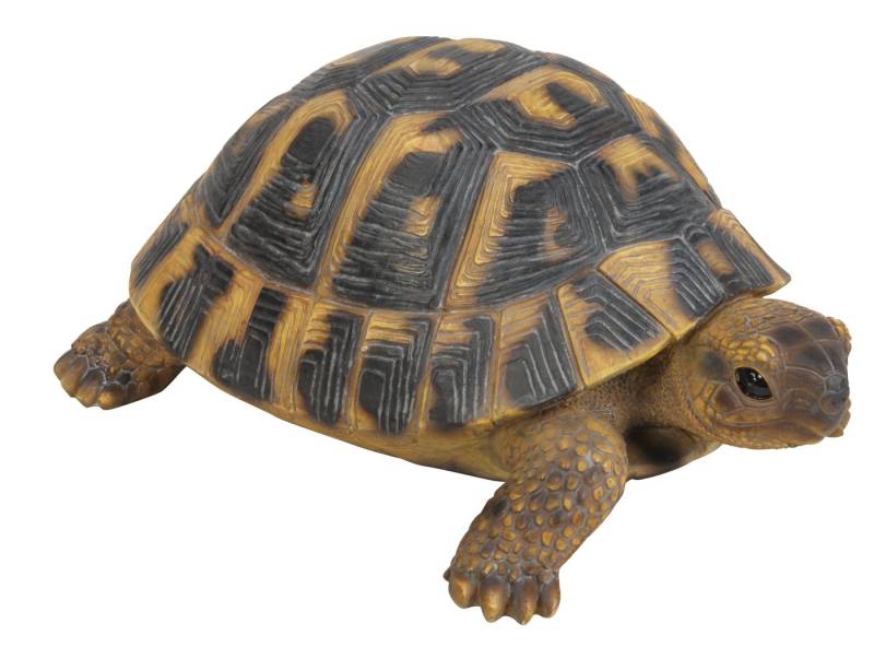 Dehner Gartenfigur Schildkröte, 7.7 x 17 x 11.7 cm, Polyresin von Dehner