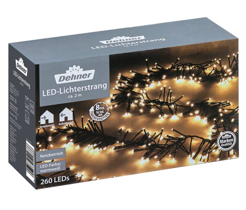 Dehner LED-Lichterkette LED Lichterstrang, 260 LEDs, warmweiß, Länge 2 m, LED Lichterkette für Innen und Außen, energiesparend und langlebig von Dehner