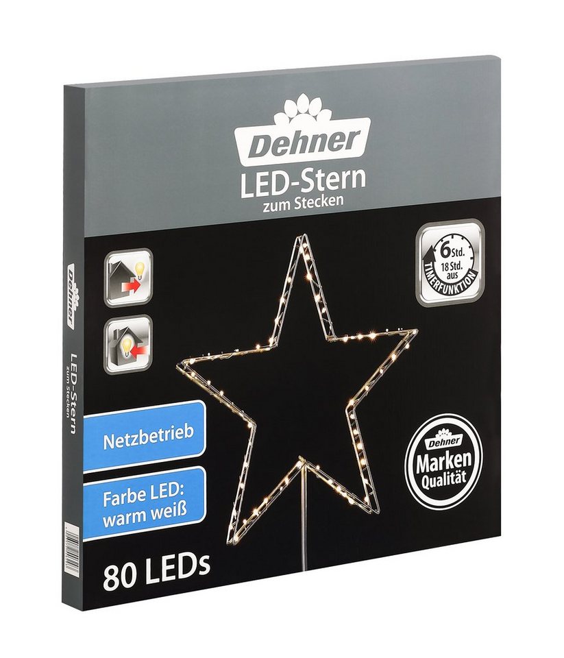 Dehner LED-Lichterkette LED-Stern zum Stecken, 80 LED, Ø 52 cm, Metall, silber, Weihnachtsbeleuchtung zum Stecken inkl. Timer, Indoor und Outdoor von Dehner