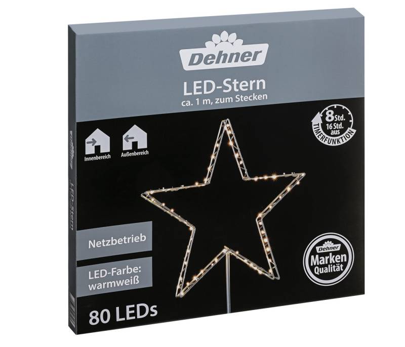 Dehner LED-Lichterkette LED-Stern zum Stecken, 80 LED, Ø 52 cm, Metall, silber, Weihnachtsbeleuchtung zum Stecken inkl. Timer, Indoor und Outdoor von Dehner
