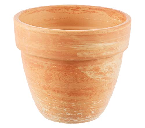 Spang Pflanztopf Levante, Ø 34.5 cm, Höhe 29 cm, Terrakotta, marmoriert, orange Spang Pflanztopf Levante, Ø 34.5 cm, Höhe 29 cm, Terrakotta, marmoriert, orange von Dehner