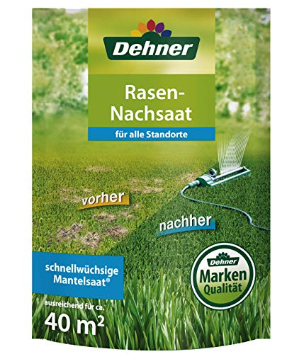 Dehner Rasen-Nachsaat, 0.55 kg, für ca. 40 qm von Dehner