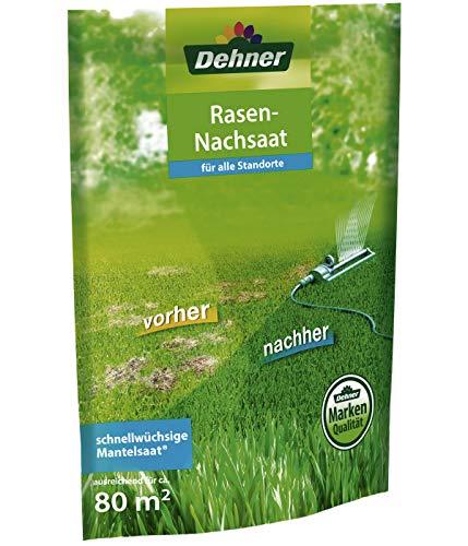 Dehner Rasen-Nachsaat, 1.1 kg, für ca. 80 qm von Dehner