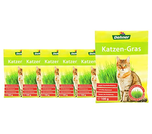 Dehner Lieblinge Saatgut Katzengras, 6 Stück (600 g) von Dehner