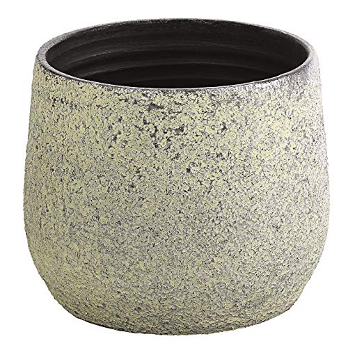Dehner Übertopf Yves, Ø 32 cm, Höhe 25 cm, Keramik, Silber Dehner Übertopf Yves, Ø 32 cm, Höhe 25 cm, Keramik, Silber von Dehner