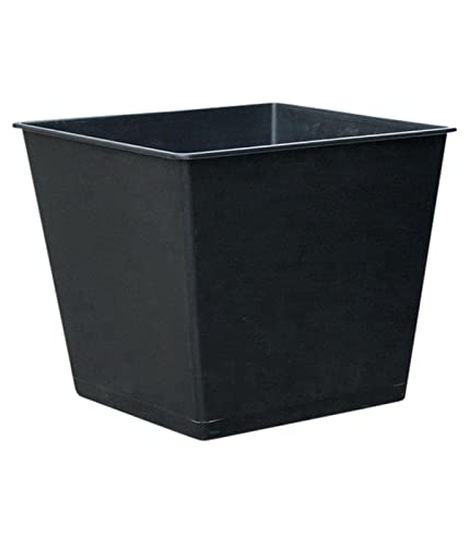 Dehner Universal-Pflanztopf, ca. 36 x 36 x 30 cm, Kunststoff, schwarz von Dehner