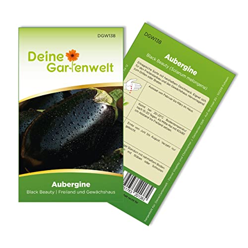 Aubergine Black Beatuy Samen - Solanum melongena - Auberginensamen - Gemüsesamen - Saatgut für 15 Pflanzen von Deine Gartenwelt