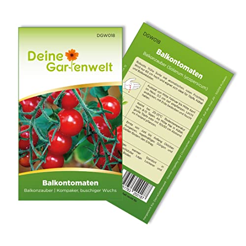 Balkontomaten Balkonzauber Samen - Solanum lycopersicum - Balkontomatensamen - Gemüsesamen - Saatgut für 15 Pflanzen von Deine Gartenwelt