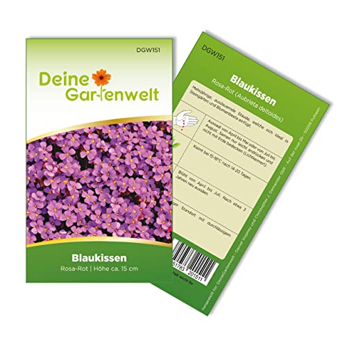 Blaukissen Rosa-rot Samen - Aubrieta deltoides - Blaukissensamen - Blumensamen - Saatgut für 100 Pflanzen von Deine Gartenwelt