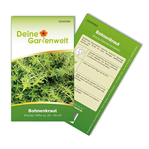Bohnenkraut Samen - Satureja hortensis - Bohnenkrautsamen - Kräutersamen - Saatgut für 200 Pflanzen von Deine Gartenwelt