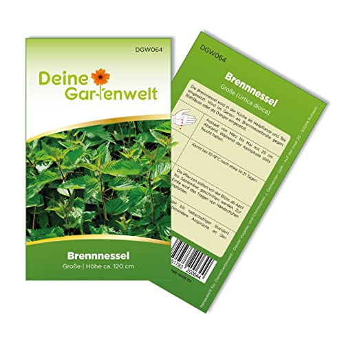 Brennnessel große Samen - Urtica dioica - Brennnesselsamen - Kräutersamen - Saatgut für 250 Pflanzen von Deine Gartenwelt