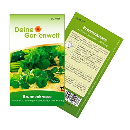 Brunnenkresse Kultivierte Samen - Nasturtium officinale - Brunnenkressesamen - Gemüsesamen - Saatgut für 1.000 Pflanzen von Deine Gartenwelt