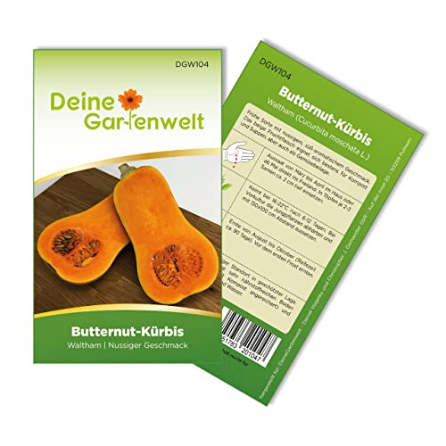 Butternut-Kürbis Waltham Samen - Cucurbita moschata - Butternut-Kürbissamen - Gemüsesamen - Saatgut für 8 Pflanzen von Deine Gartenwelt