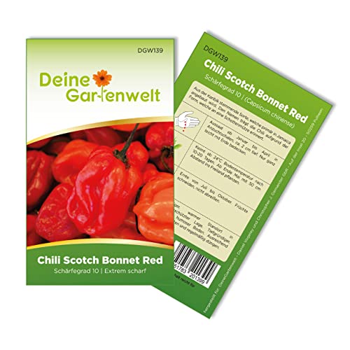 Chili Scotch Bonnet Red Samen - Capsicum chinense - Chilisamen - Gemüsesamen - Saatgut für 3 Pflanzen von Deine Gartenwelt