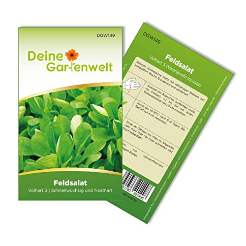 Feldsalat Volhart 3 Samen - Valerianella locusta - Salatsamen - Gemüsesamen - Saatgut für 300 Pflanzen von Deine Gartenwelt