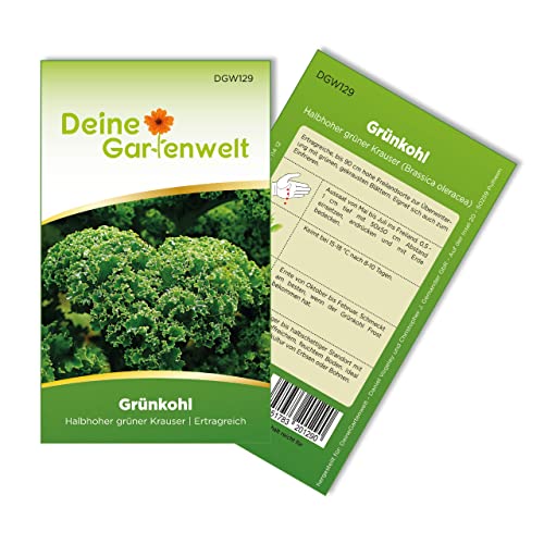 Grünkohl Halbhoher grüner krauser Samen - Brassica oleracea - Grünkohlsamen - Gemüsesamen - Saatgut für 250 Pflanzen von Deine Gartenwelt