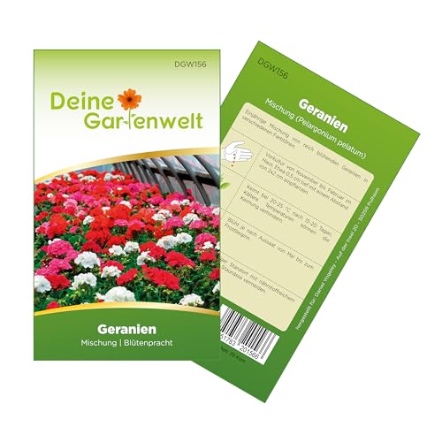 Hängegeranien Mischung Samen - Pelargonium peltatum - Geraniensamen - Blumensamen - Saatgut für 20 Pflanzen Geranien von Deine Gartenwelt