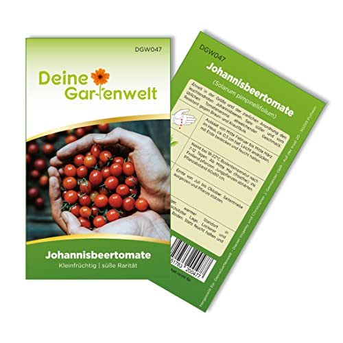 Johannisbeertomaten Samen - Solanum pimpinellifolium - Johannisbeertomatensamen - Gemüsesamen - Saatgut für 8 Pflanzen von Deine Gartenwelt