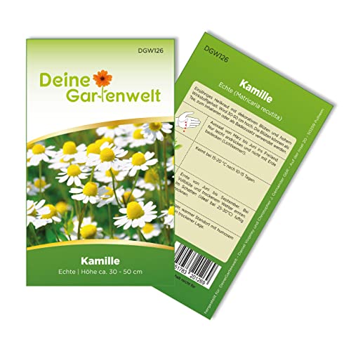 Kamille Echte Samen - Matricaria recutita - Kamillesamen - Kräutersamen - Blumensamen - Saatgut für 150 Pflanzen von Deine Gartenwelt