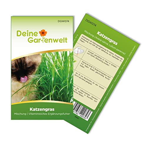 Katzengras Samen - Avena sativa und Lolium perenne - Katzengrassamen - 10 g Saatgut für etwa 5 Töpfe von Deine Gartenwelt