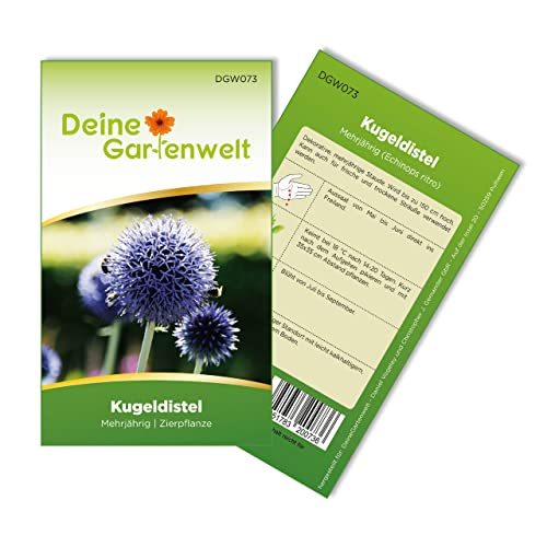 Kugeldistel Samen - Echinops ritro - Kugeldistelsamen - Blumensamen - Saatgut für 30 Pflanzen von Deine Gartenwelt