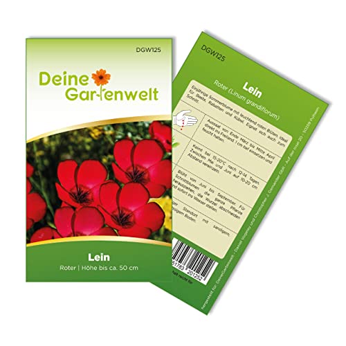 Lein rot Samen - Linum grandiflorum - Leinsamen - Blumensamen - Saatgut für 70 Pflanzen von Deine Gartenwelt