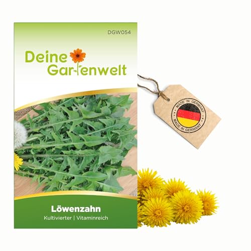 Löwenzahn Kultivierter Samen - Taraxacum officinale - Löwenzahnsamen - Kräutersamen - Saatgut für 100 Pflanzen von Deine Gartenwelt