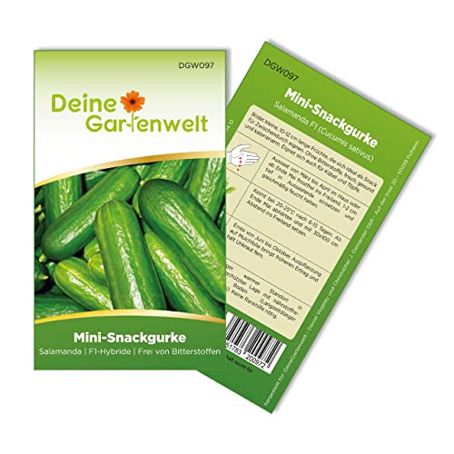 Mini Snackgurke Salamanda F1 Samen - Cucumis sativus - Gurkensamen - Gemüsesamen - Saatgut für 6-8 Pflanzen von Deine Gartenwelt