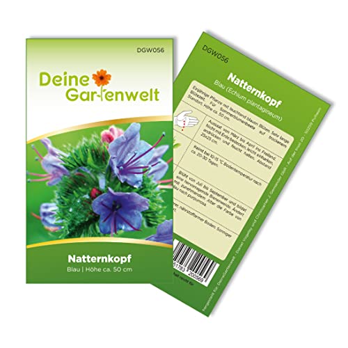Natternkopf blau Samen - Echium plantagineum - Natternkopfsamen - Blumensamen - Saatgut für 15 Pflanzen von Deine Gartenwelt