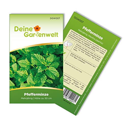Pfefferminze Mehrjährig Samen - Mentha piperita - Pfefferminzesamen - Kräutersamen - Saatgut für 100 Pflanzen von Deine Gartenwelt