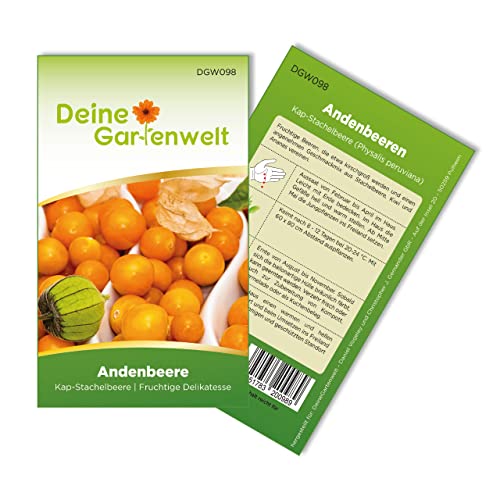 Physalis Andenbeere Kapstachelbeere Samen - Physalis peruviana - Andenbeerensamen - Obstsamen - Saatgut für 50 Pflanzen von Deine Gartenwelt