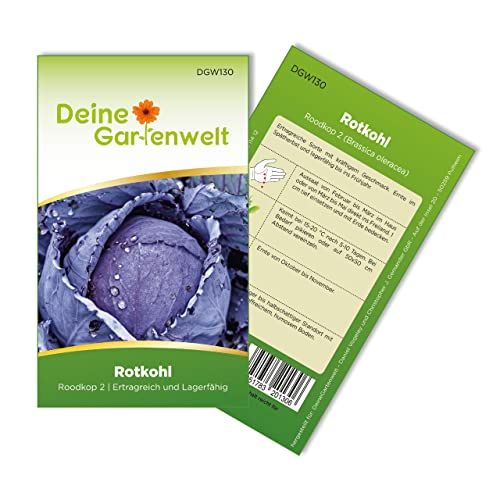 Rotkohl Roodkop 2 Samen - Brassica oleracea - Rotkohlsamen - Gemüsesamen - Saatgut für 120 Pflanzen von Deine Gartenwelt