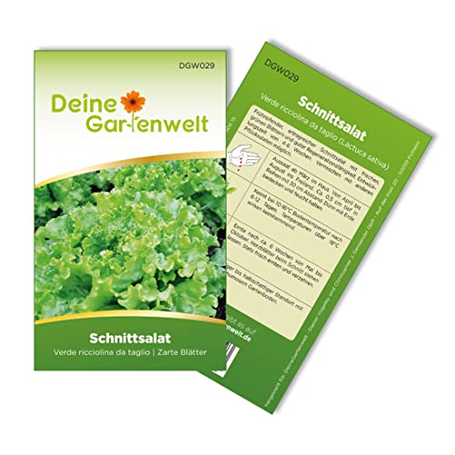 Schnittsalat Verde ricciolina da taglio Samen - Lactuca sativa - Schnittsalatsamen - Gemüsesamen - Saatgut für ca. 1.500 Pflanzen von Deine Gartenwelt