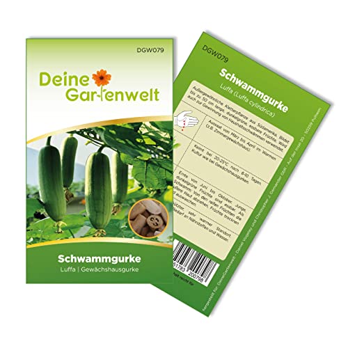 Schwammgurke Luffa Samen - Luffa cylindrica - Gurkesamen - Gemüsesamen - Saatgut für 6 Pflanzen von Deine Gartenwelt