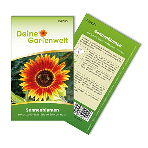 Sonnenblumen Herbstschönheit Samen - Helianthus annuus - Sonnenblumensamen - Blumensamen - Saatgut für 30 Pflanzen von Deine Gartenwelt