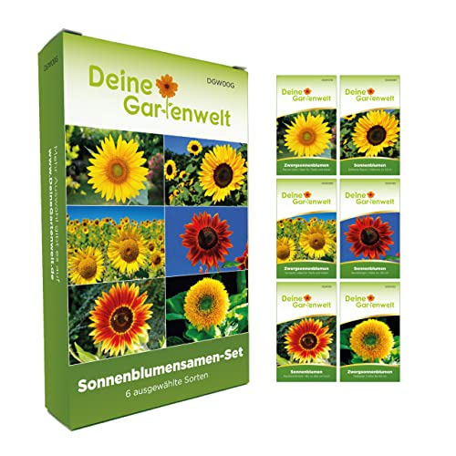 Sonnenblumensamen Set - 6 Sorten Samen - Saatgut Sortiment - Anzuchtset für Sonnenblumen - Geschenkset - Riesensonnenblumen, Zwergsonnenblumen, Teddybärsonnenblumen und mehr von Deine Gartenwelt