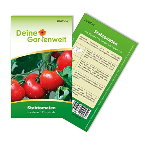 Stabtomaten Harzfeuer F1 Samen - Solanum lycopersicum - Tomatensamen - Gemüsesamen - Saatgut für 15 Pflanzen von Deine Gartenwelt