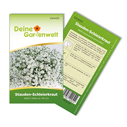 Stauden-Schleierkraut weiß Samen - Gypsophila paniculata - Stauden-Schleierkrautsamen - Blumensamen - Saatgut für 200 Pflanzen von Deine Gartenwelt