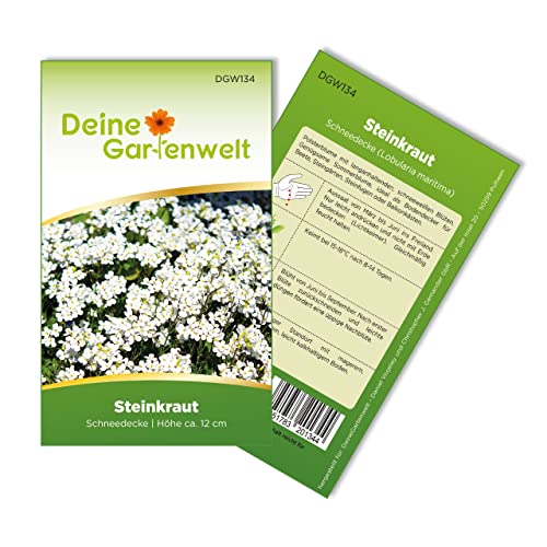 Steinkraut Duftsteinrich Schneedecke Samen - Lobularia maritima - Steinkrautsamen - Blumensamen - Saatgut für 250 Pflanzen von Deine Gartenwelt