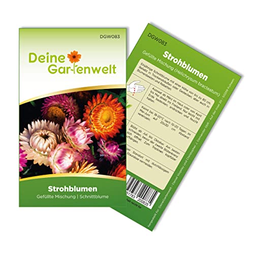 Strohblumen Gefüllte Mischung Samen - Helichrysum bracteatum - Strohblumensamen - Blumensamen - Saatgut für 150 Pflanzen von Deine Gartenwelt