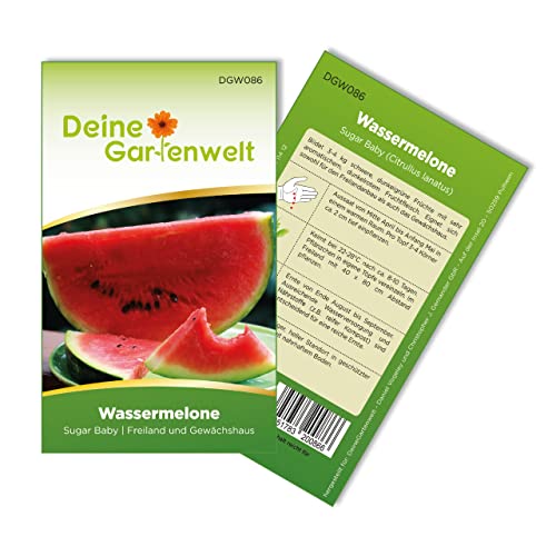 Wassermelonen Sugar Baby Samen - Citrullus lanatus - Wassermelonensamen - Obstsamen - Saatgut für 10 Pflanzen von Deine Gartenwelt