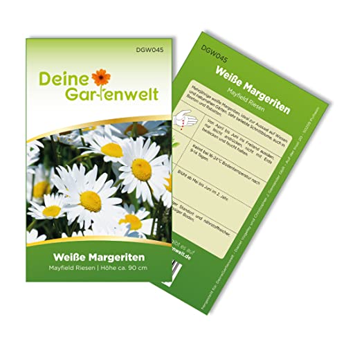Margerite weiß Samen - Chrysanthemum maximum - Margeritensamen - Blumensamen - Saatgut für 80 Pflanzen von Deine Gartenwelt