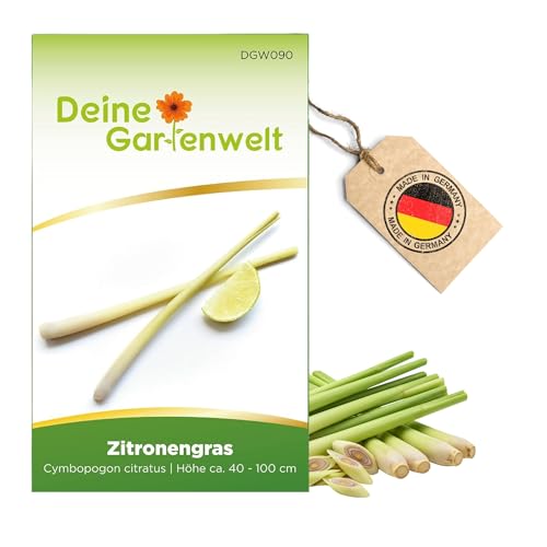 Zitronengras Samen - Cymbopogon citratus - Zitronengrassamen - Kräutersamen - Saatgut für 100 Pflanzen von Deine Gartenwelt