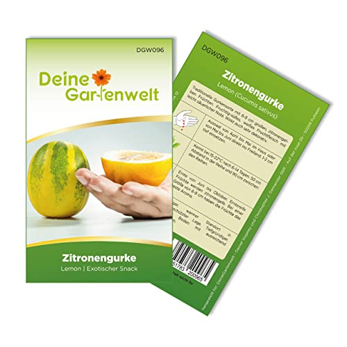 Zitronengurke Lemon Samen - Cucumis sativus - Gurkensamen - Gemüsesamen - Saatgut für 6 Pflanzen von Deine Gartenwelt