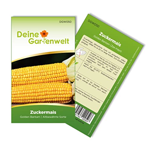 Zuckermais Golden Bantam Samen - Zea mays - Zuckermaissamen - Gemüsesamen - Saatgut Für 12 Pflanzen von Deine Gartenwelt